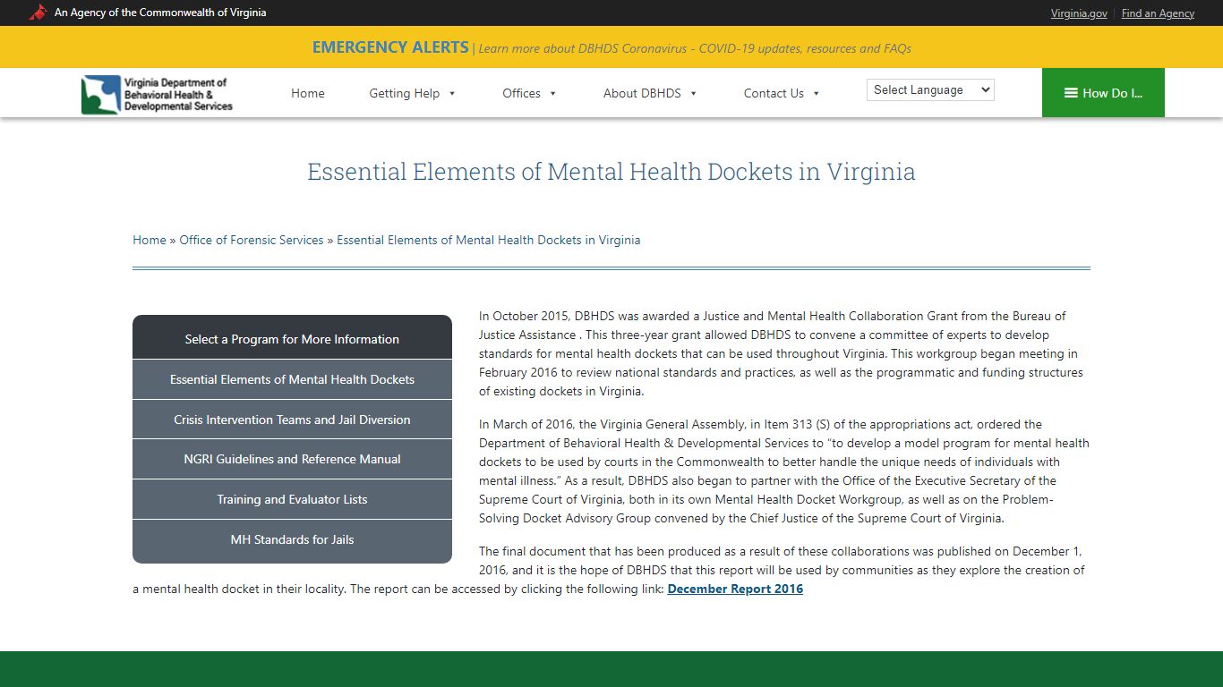 Essential Elements of Mental Health Dockets in Virginia
